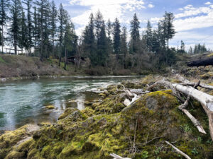 133 River View Gates OR_08