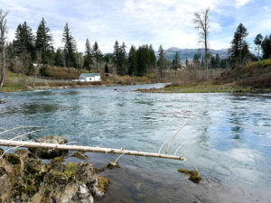 133 River View Gates OR_09