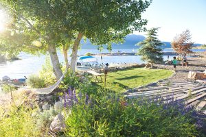 2399-Hwy-182-Bridgeport-CA_13