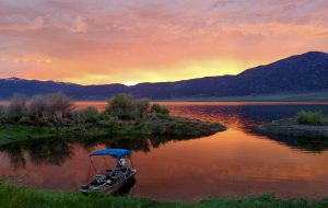 2399-Hwy-182-Bridgeport-CA_18