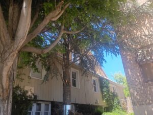 Cedar St Klamath Falls 213_05