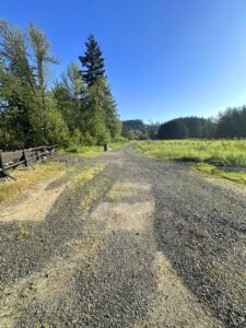 Salmon River Hwy TL 284398_03